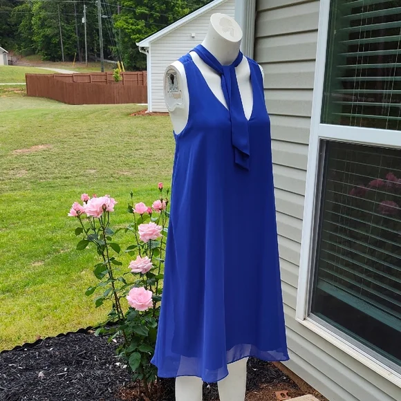 Elegant Blue Sleeveless Dress with Scarf Tie - Picture 2 of 12